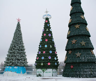 Каркасные ёлки в Айхале